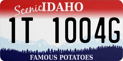 ID license plate 1T1004G