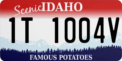 ID license plate 1T1004V