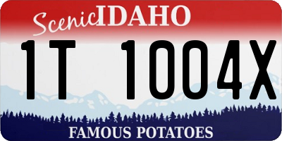 ID license plate 1T1004X