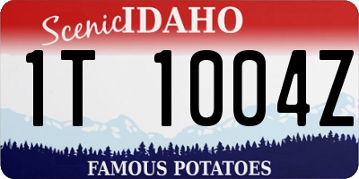 ID license plate 1T1004Z