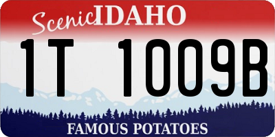 ID license plate 1T1009B
