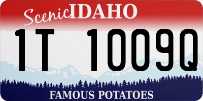 ID license plate 1T1009Q