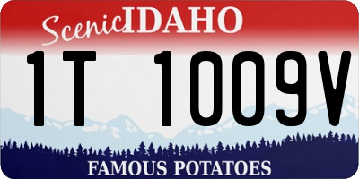 ID license plate 1T1009V