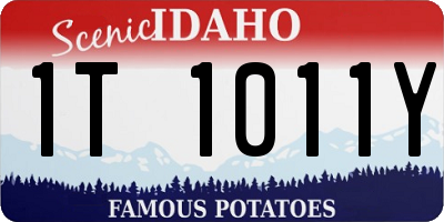 ID license plate 1T1011Y