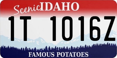 ID license plate 1T1016Z