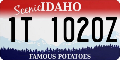 ID license plate 1T1020Z