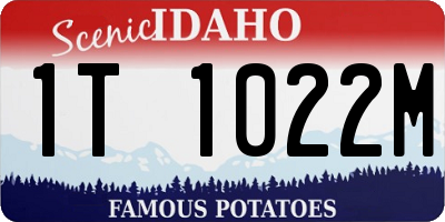 ID license plate 1T1022M