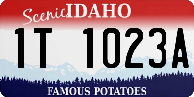 ID license plate 1T1023A