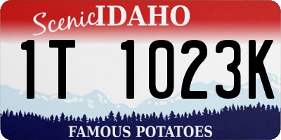 ID license plate 1T1023K