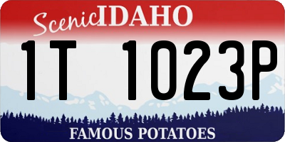 ID license plate 1T1023P