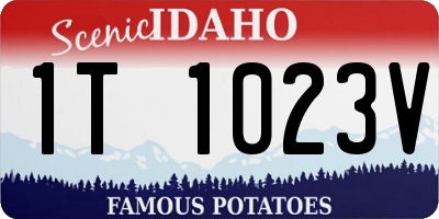 ID license plate 1T1023V