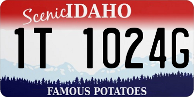 ID license plate 1T1024G