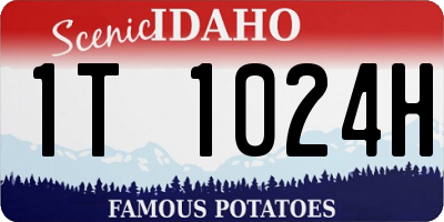 ID license plate 1T1024H