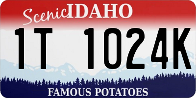 ID license plate 1T1024K