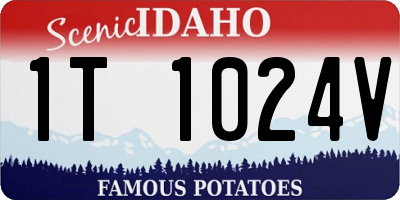 ID license plate 1T1024V
