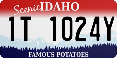 ID license plate 1T1024Y