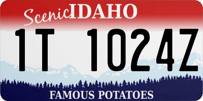 ID license plate 1T1024Z