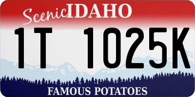 ID license plate 1T1025K