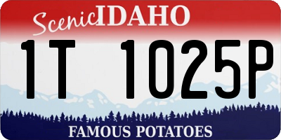 ID license plate 1T1025P