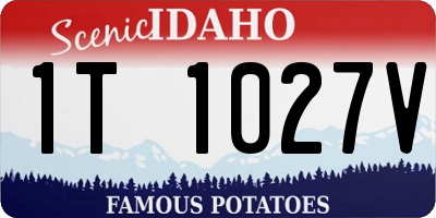 ID license plate 1T1027V