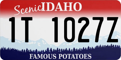 ID license plate 1T1027Z
