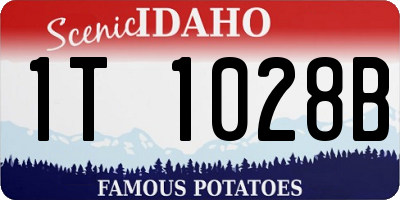 ID license plate 1T1028B