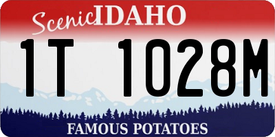 ID license plate 1T1028M