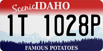 ID license plate 1T1028P