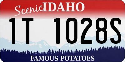 ID license plate 1T1028S