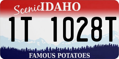 ID license plate 1T1028T