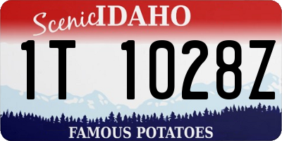ID license plate 1T1028Z