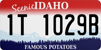 ID license plate 1T1029B