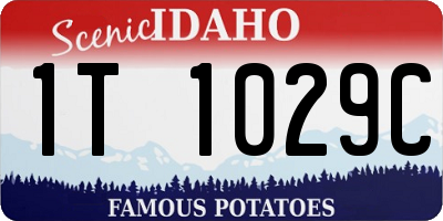 ID license plate 1T1029C