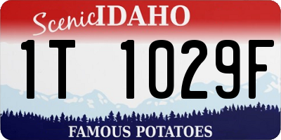 ID license plate 1T1029F