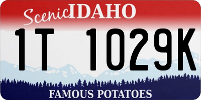 ID license plate 1T1029K