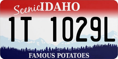 ID license plate 1T1029L