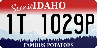 ID license plate 1T1029P