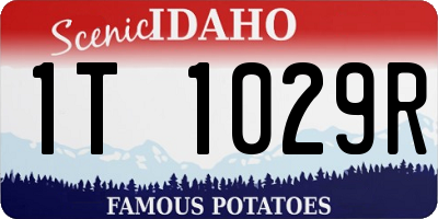 ID license plate 1T1029R