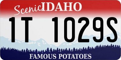 ID license plate 1T1029S