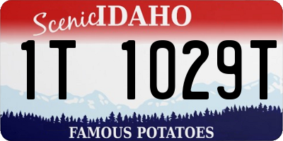 ID license plate 1T1029T