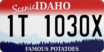 ID license plate 1T1030X