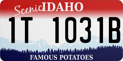 ID license plate 1T1031B