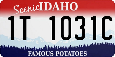 ID license plate 1T1031C