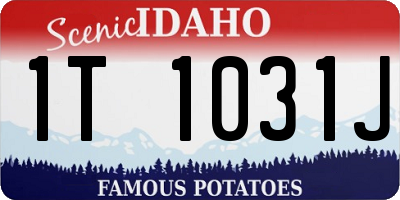 ID license plate 1T1031J