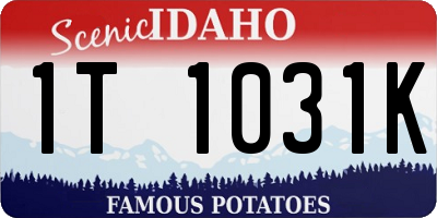 ID license plate 1T1031K