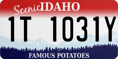 ID license plate 1T1031Y