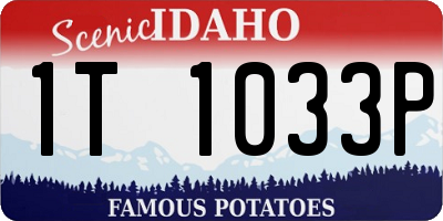 ID license plate 1T1033P