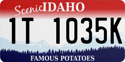 ID license plate 1T1035K