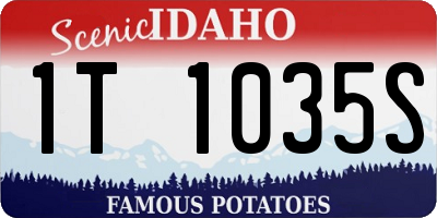 ID license plate 1T1035S
