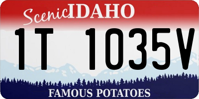 ID license plate 1T1035V